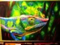Nate_Evrard_2014_2